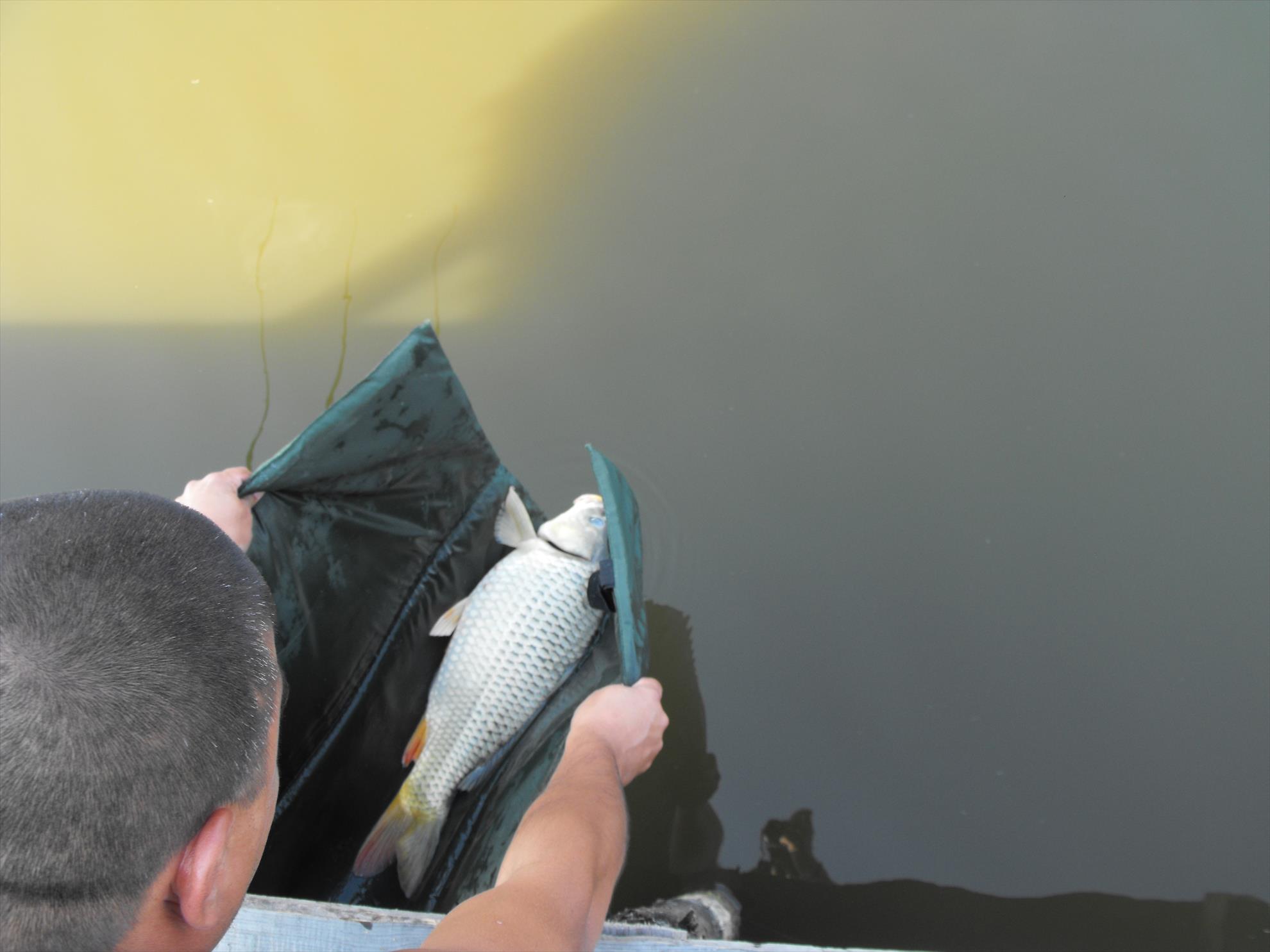 Magura 9, 17.09.2011 - picture-145.jpg